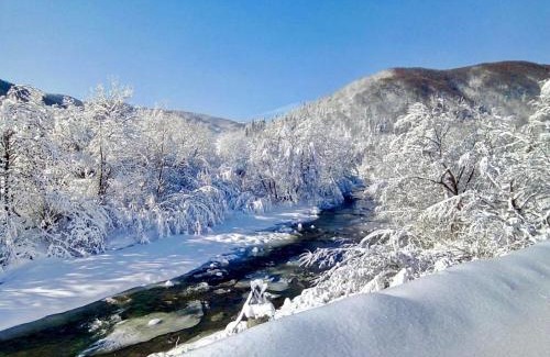 Snidavka House | Жива вода