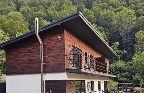 Transcarpathia Villa | Заміський будинок "Wow дача" та "Soloma house"