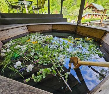 Transcarpathia Villa | Заміський будинок "Wow дача" та "Soloma house"