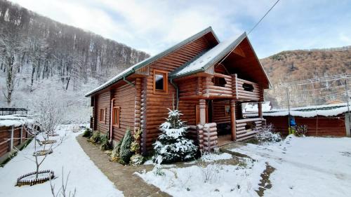 Transcarpathia Villa | Заміський будинок "Wow дача" та "Soloma house"