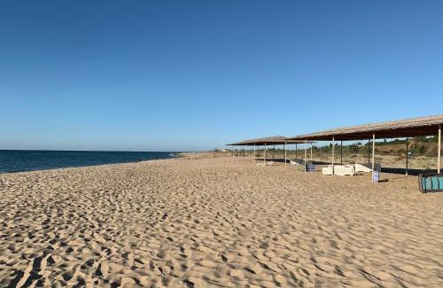 Karolino-Bugaz Apartment | Золотой Бугаз