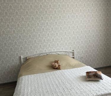 Zarichnyi District Apartment | Квартира Люкс