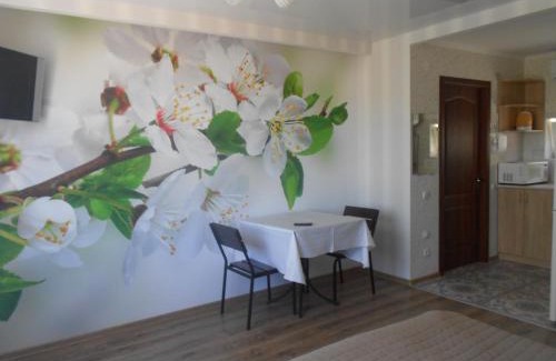 Kirovograd Apartment | квартира-студия в г. Кропивницком (Кировограде)