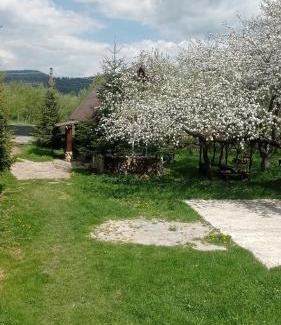 Mykulychyn House | Колорит