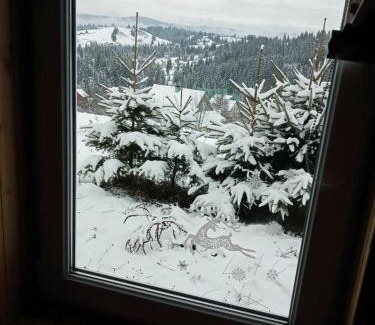 Palyanytsya House | Котеджі Зоряне Небо