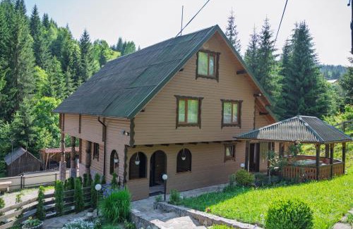 Yablunytsya Apartment | Котедж У Яни 2