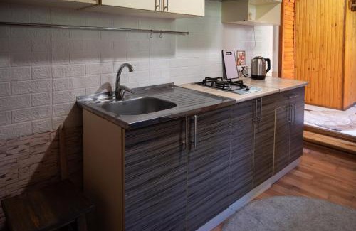 Yablunytsya Apartment | Котедж У Яни 2