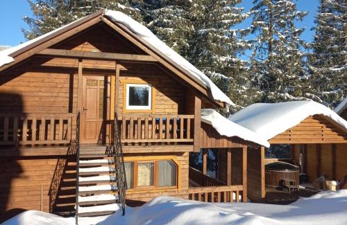 Vorokhta Cabin | На горі