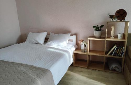 Desnyans'kyi District Apartment | Однокімнатна на Троєщині