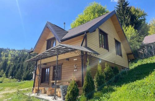 Tatariv Villa | Панорама Маґура 2к