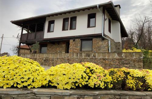 Troyan Apartment | Парашкевова къща