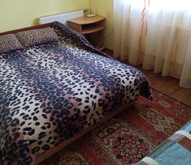 Okhtyrka Apartment | Петропавловская 16