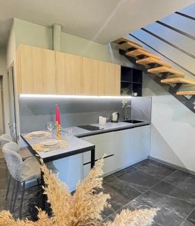 Chernovtsy Apartment | Просторий апартамент для 3 осіб N3