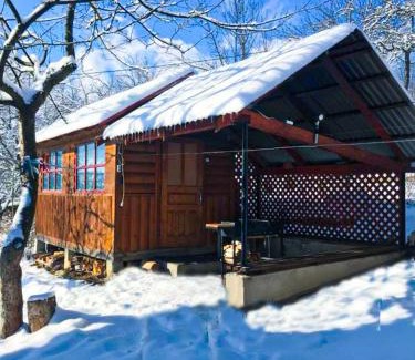 Yaremche Cabin | Під лісом у гіда