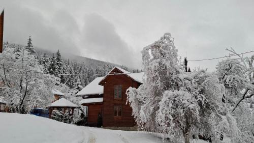 Snidavka House | Райський куточок