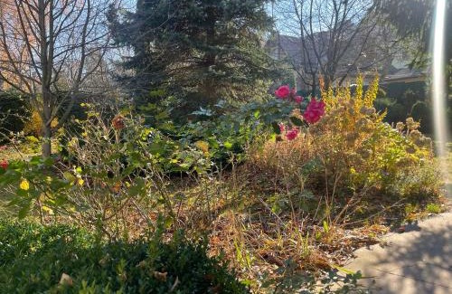 Truskavets Bed & Breakfast | Роксолана