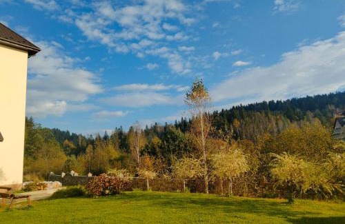 Skhidnytsya Hotel | Рудий Лис