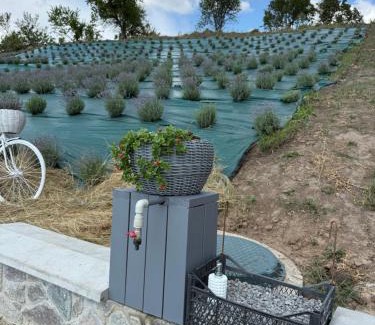 Poltava Oblast Other | Садиба Рибака