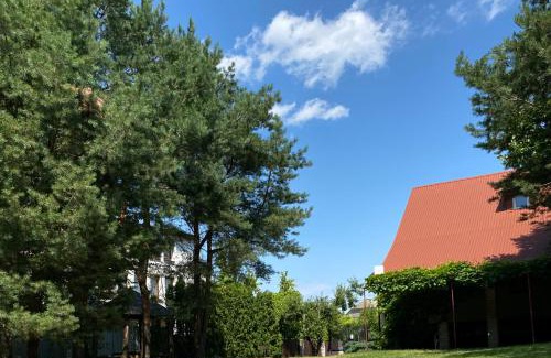 Volyn Oblast House | Садиба у Дяді Міши