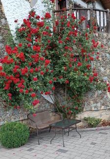 Mykulychyn Apartment | Садиба Янчар Номер Студiо з Басейном