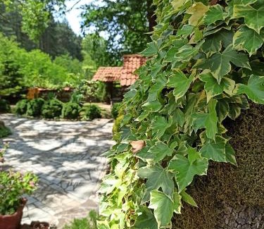 Popina Luka Hotel | Семеен Хотел Хайдутите