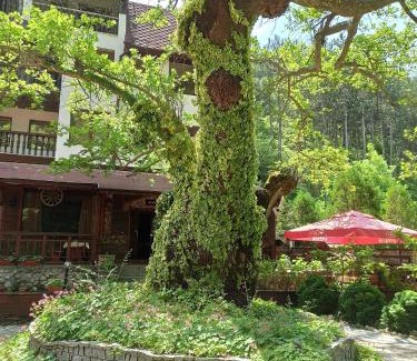 Popina Luka Hotel | Семеен Хотел Хайдутите