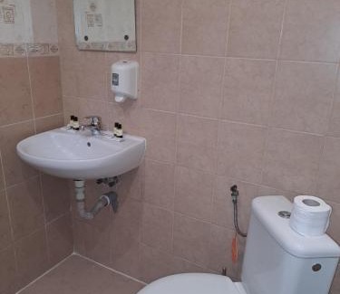 Melnik House | Стария Чинар