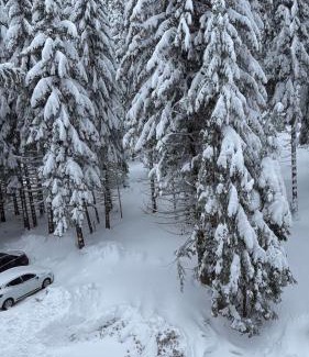 Pamporovo Apartment | студио Е 13