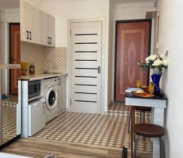 Shymkent Apartment | Студия для двоих 362