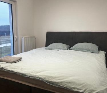 Zbuch Apartment | Сучасні номера біля Плзня