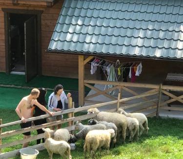 Yablunytsya House | Трембіта котедж