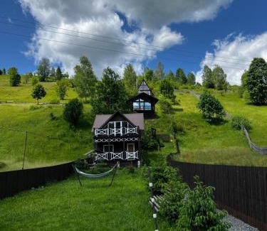 Synevyrska Polyana House | Файна хата 4