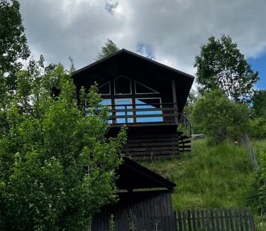 Synevyrska Polyana House | Файна хата 4