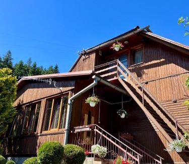 Skole Cabin | Хвиля Гір