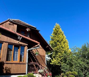 Skole Cabin | Хвиля Гір