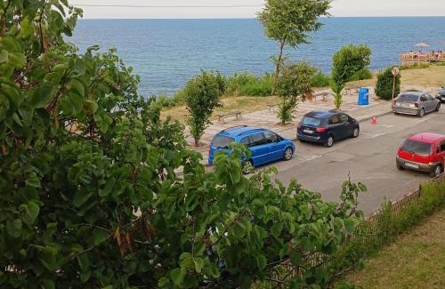 Primorsko Hotel | хотел Ропотамо