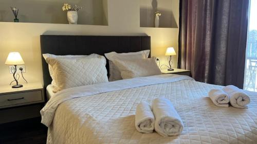 Tsaghkadzor Apartment | Цахкадзор, Tsaxkadzor, Kechi House apartment 300