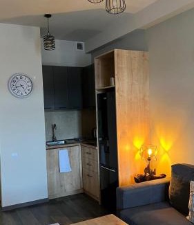 Tsaghkadzor Apartment | Цахкадзор, Tsaxkadzor, Kechi House apartment 300