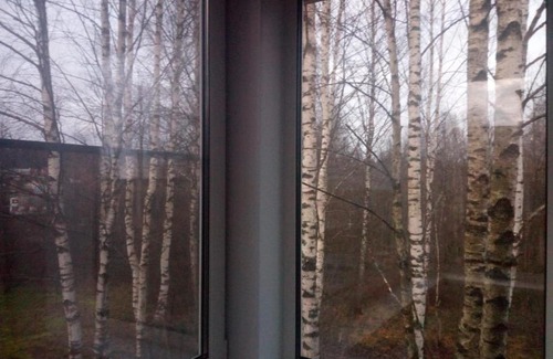 Ashukino Ski Chalet | Шале на тропе поэтов