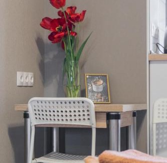 Petrovskoye Apartment | Шоколадна студія, Південний вокзал 5 хвилин