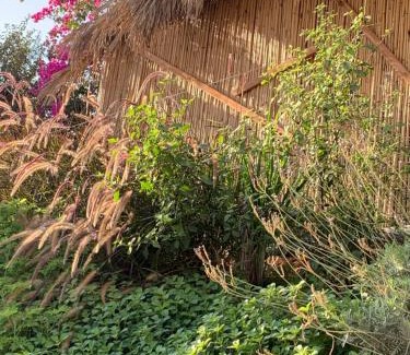 Arad House | אוהל לוט