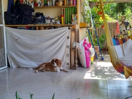 Rishon LeTsiyon Apartment | בית צימר