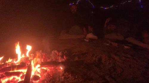 Nevatim Ski Chalet | בקתה מעץ בחווה farm B'H