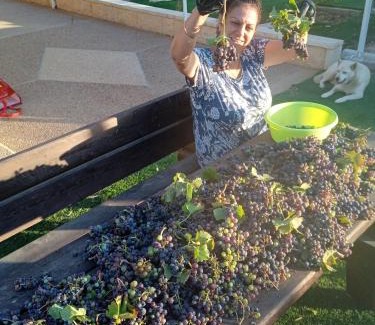 Nevatim Ski Chalet | בקתה מעץ בחווה farm B'H