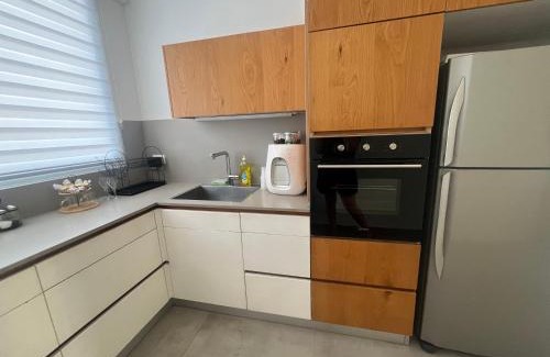 Rishon LeTsiyon Apartment | דירה בוטיק