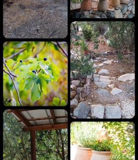 Kfar Hoshen Ski Chalet | חכורה קדיתה