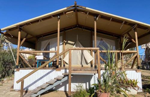 Arad Other | למדבר- חווית גלמפינג במדבר