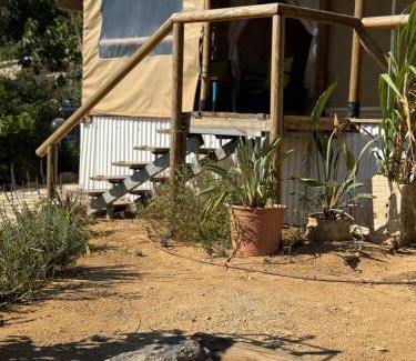 Arad Other | למדבר- חווית גלמפינג במדבר