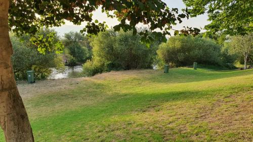 Amir Apartment | פינה בגינה יזרעאלי