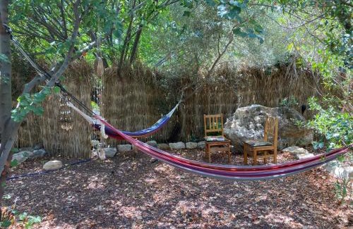 Ein Hod Artists Village Cabin | צימר השקדיה